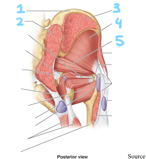 <p>identify structures 1-5</p>