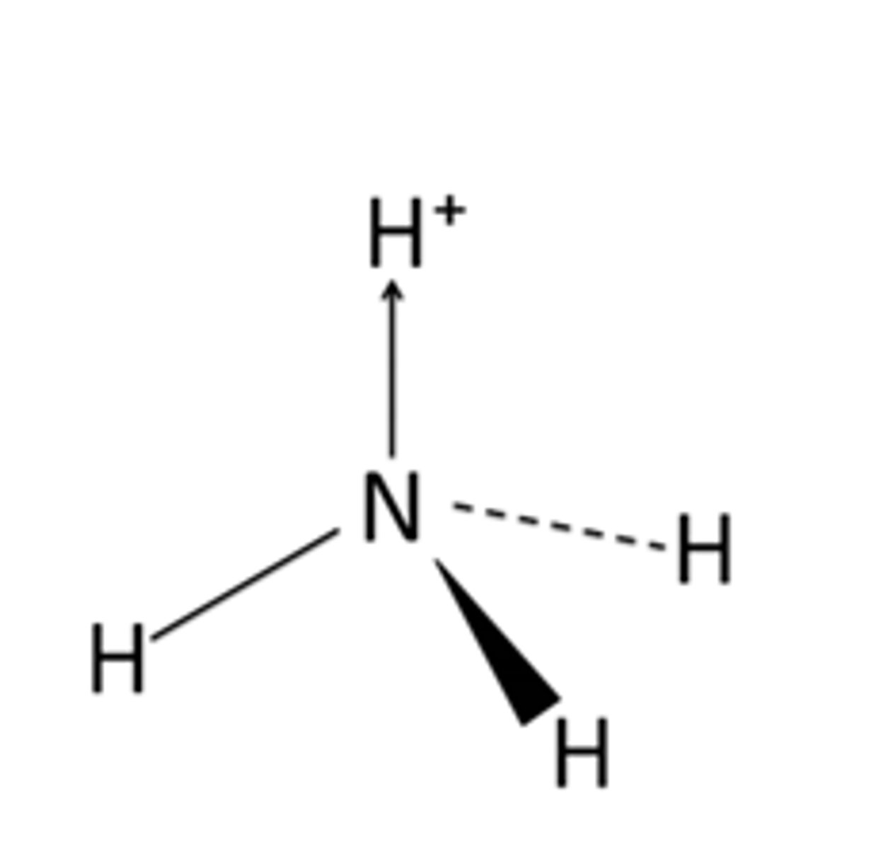 <p>Draw the formation of a dative covalent bond in ammonia</p>