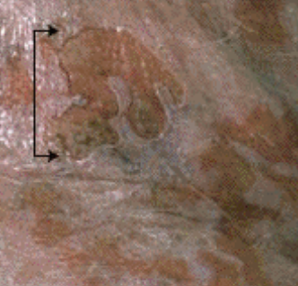<p>what are the arrows pointing to?</p>