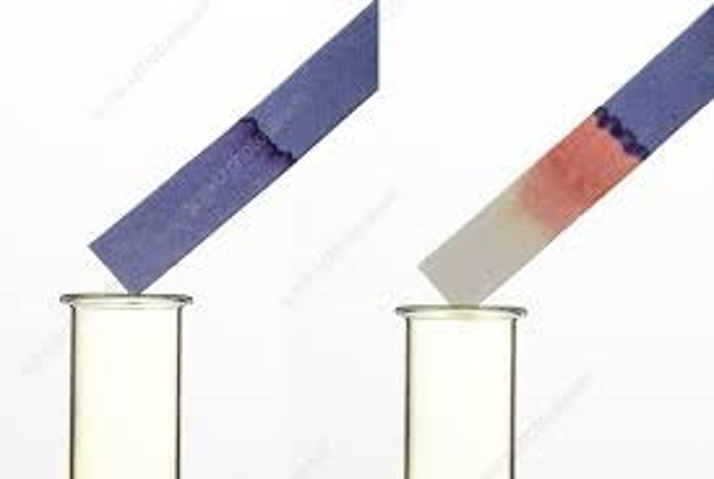 <p>Moist blue litmus paper turns red then white (bleaches)</p>