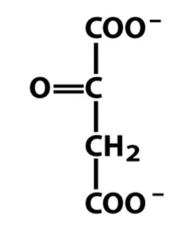 The following structure is:

\
a)pyruvate

b) oxaloacetate

c) succinate

d) malate

e) citrate