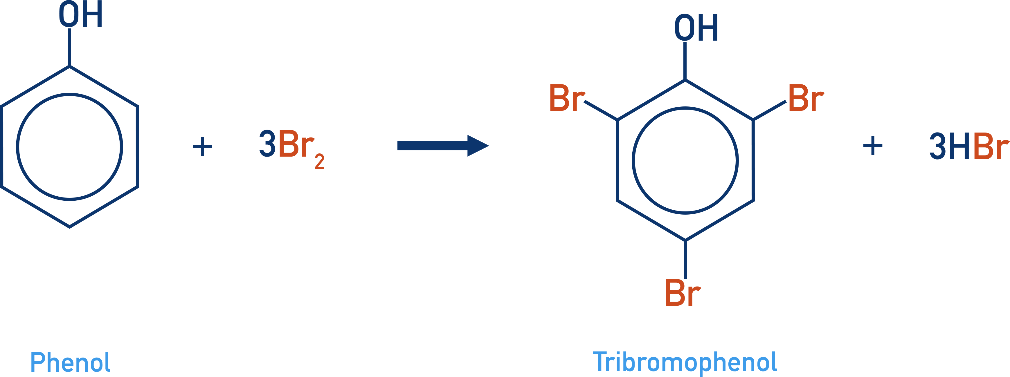 <ul><li><p>Decolourises the bromine water </p></li><li><p>forms a white precipitate of 2,4,6 - tribromophenol in a solution of hydrogen bromide </p></li></ul><p></p>