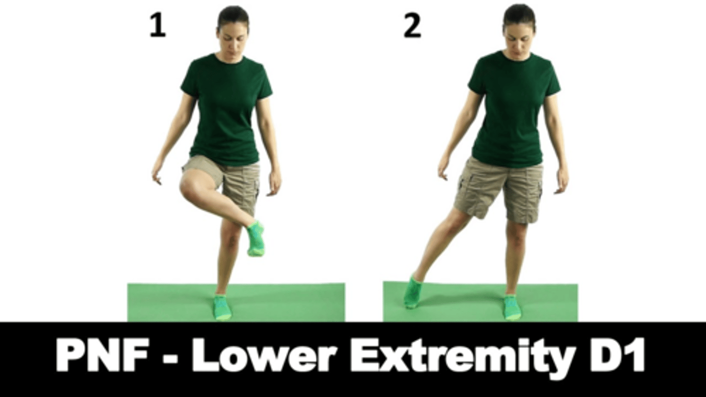 <p>flex/add/ER</p>