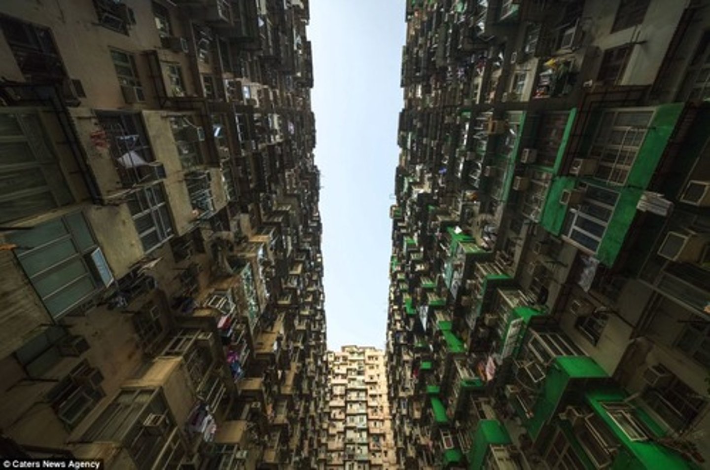 <p>(n): khu rừng bê tông</p>