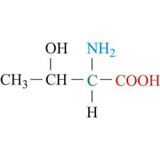 <p>What is the name of this amino acid, and, what are the single and three letter codes?</p>