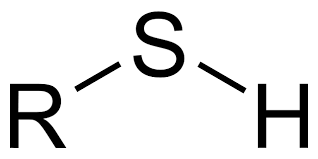 <p>Ex. CH3-S-H</p>