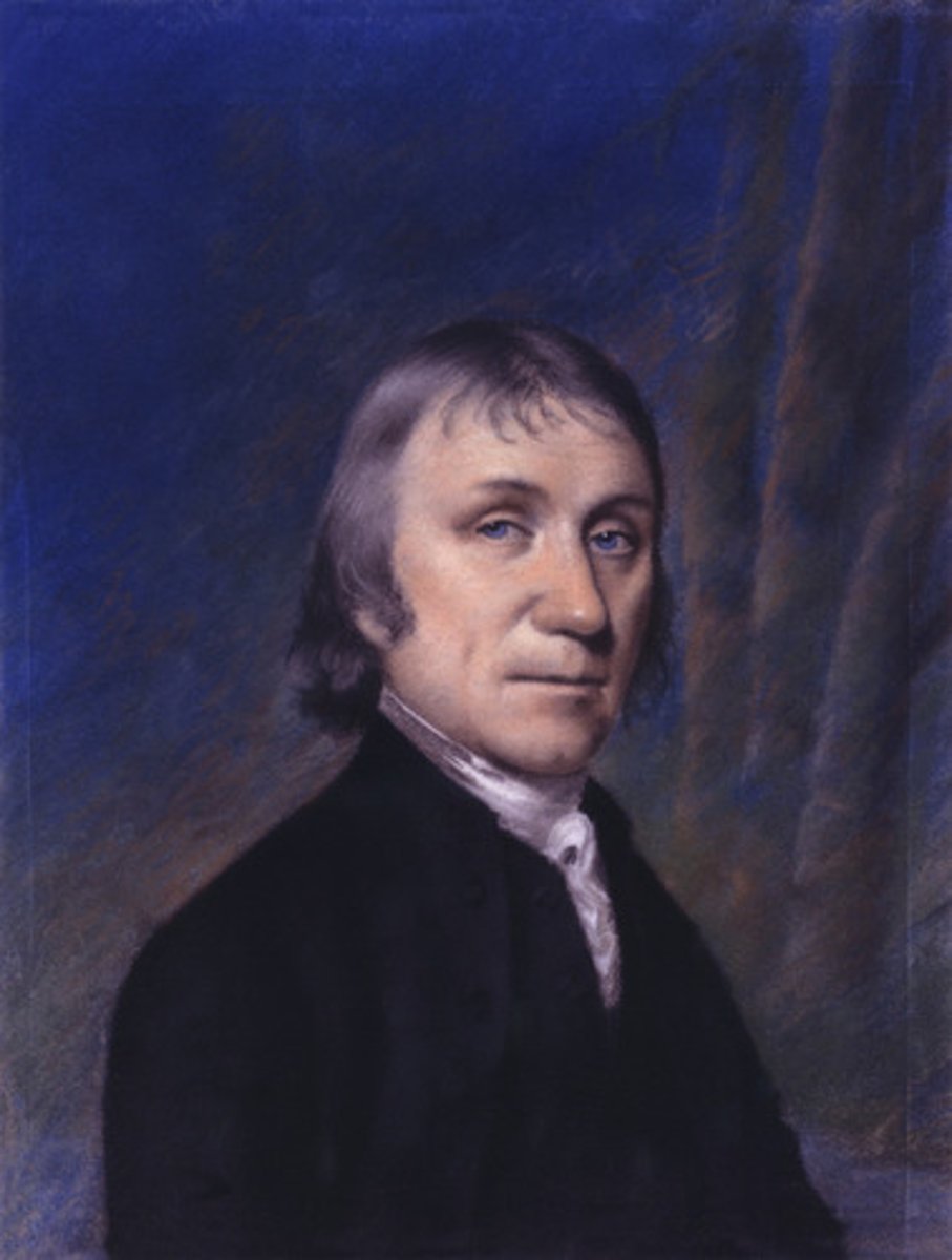 <p>recognized that an animal's breathing "injured" air, while plants "restore air"; he conducted two experiments wherein he trapped a mouse in one sealed container and trapped another mouse in a different container, although the second one had a plant; the mouse with the plant survived longer</p>