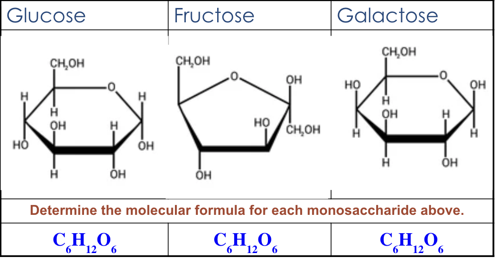 <p>determines function</p>