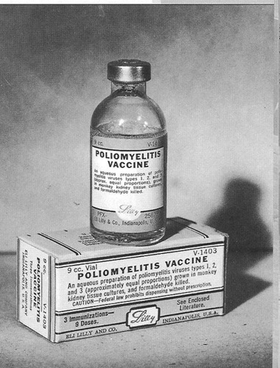 <p>antibiotic</p>