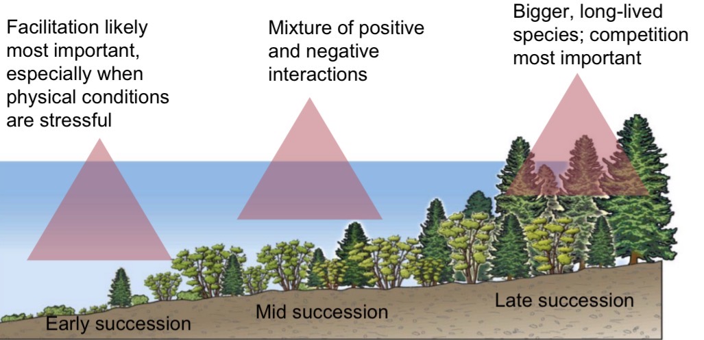 <p><span><span>Mixture of positive and negative interactions</span></span></p>
