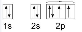 <p>example of Whose Rule/principle</p>