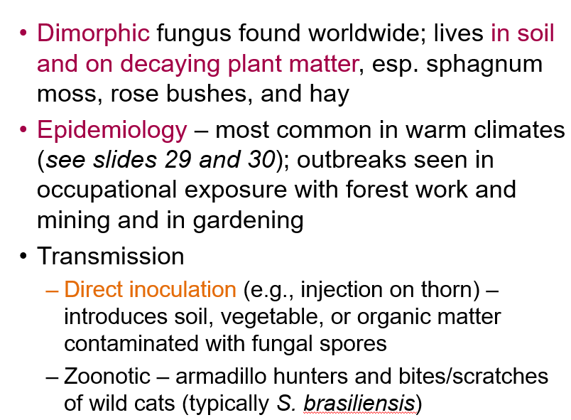 <p>It’s found <strong>worldwide</strong> in <strong>soil and decaying plant matter</strong>, especially sphagnum moss, rose bushes, and hay.</p>