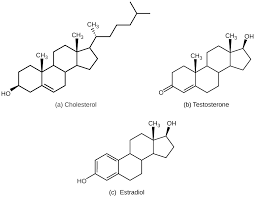 <p>compound produced by cells in one organ/tissue that is transported within the organism to stimulate cells in another organ/tissue</p>