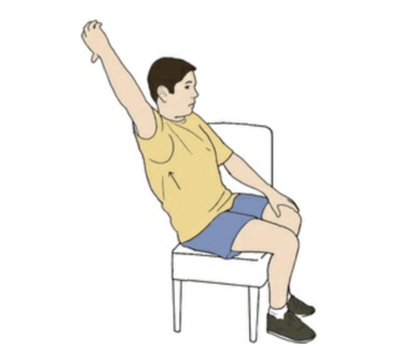 <p>concentric contraction of trunk flexors</p><p>eccentric contraction of trunk extensors</p>