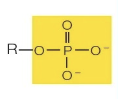 <p><span>R—OPO<sub>3</sub><sup>2-</sup></span></p>