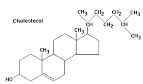 <ul><li><p>principle component of animal plasma membranes</p></li><li><p>weakly polar due to hydroxyl group on C3</p></li><li><p>amphipathic polar nature allows it to enter membranes and disrupt packaging</p></li></ul>