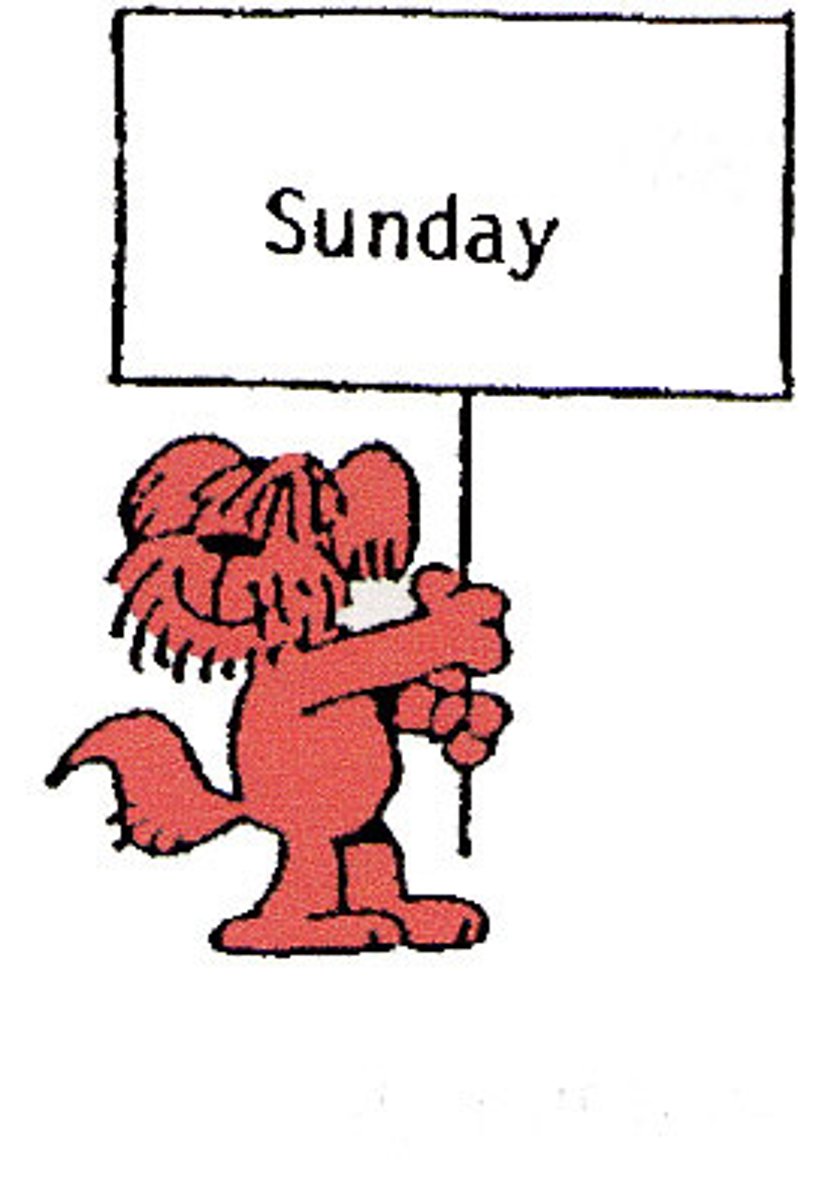 <p>(on) Sunday</p>