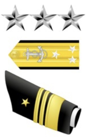 <p>3 Silver stars, [1] 2" Gold Stripe, [2] 1/2" Gold Stripes</p>