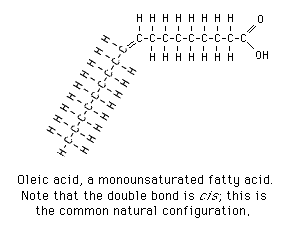 <p>How does margarine, derived from a molecule with weaker attraction, maintain a solid state at room temp?   </p>
