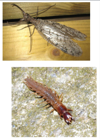 <p>Name the Order</p>