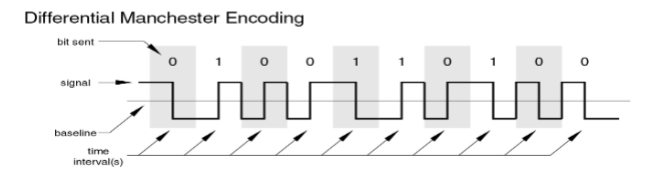 <ul><li><p>Midbit transition is clocking only</p></li><li><p>0: transition at start of a bit period</p></li><li><p>1: no transition at start of a bit period</p></li><li><p>Used by IEEE 802.5 (Token Ring)</p></li></ul><p></p>
