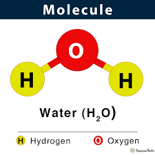 <p>a group of two or more atoms held together by chemical bonds</p>