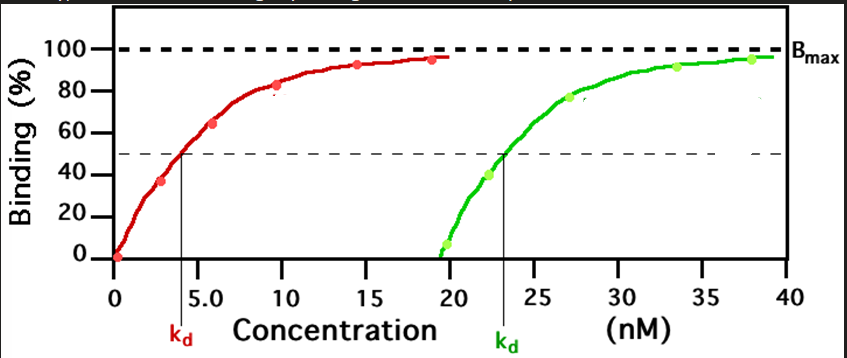 <p>a measure of how tightly a drug binds to its receptor </p>
