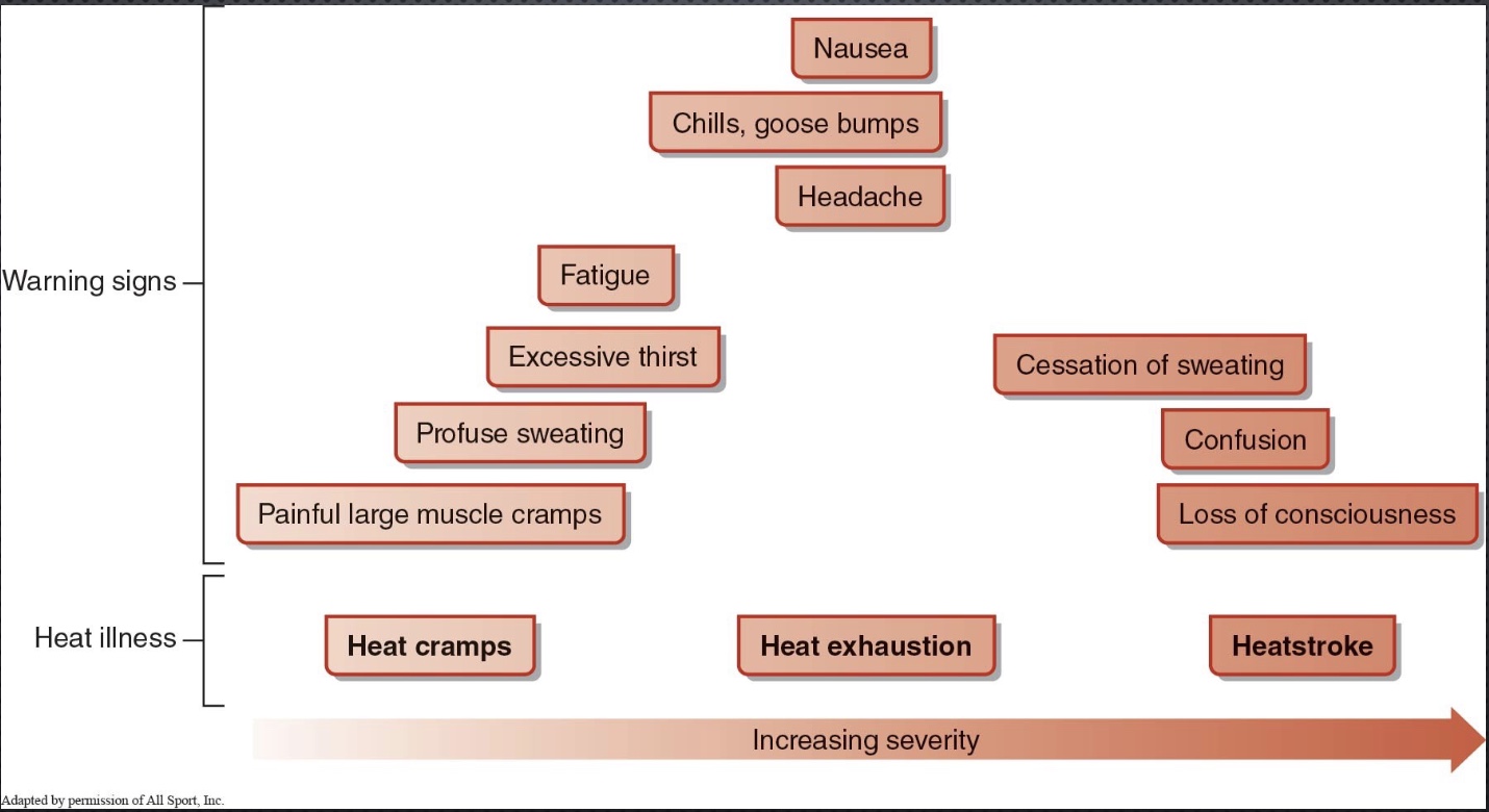 <p>-Heat cramps</p><p>-Heat exhaustion: more common and less challenging; put in shade, cool towel, water</p><p>-Heat Stroke: neurological deficits bc cook thermoregulatory center in brain (hypothalamus) (*ex: triathlete in video)</p>