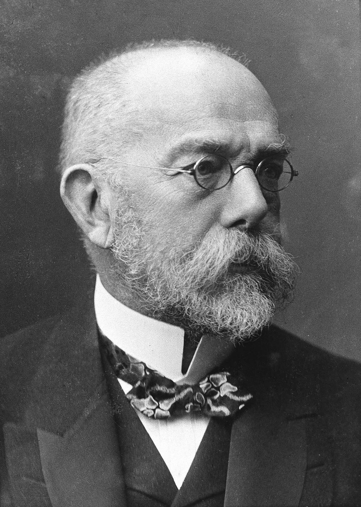 <p>Robert Koch </p>