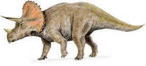 This is a triceratops, does it fall into Saurischian or Ornithischian and what sub category?