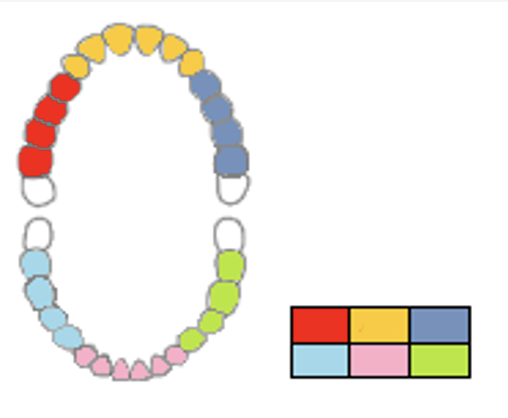 <p>outline the BPE scoring </p>
