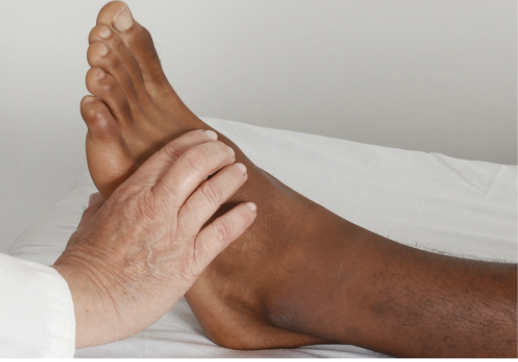 <p><span>Which pulse is the nurse assessing?</span></p><p></p>