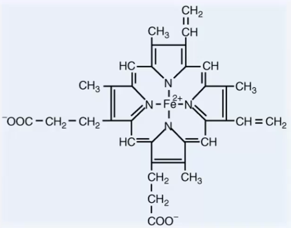 <p>Heme structure: describe groups, order and main structure</p><p>Heme is the main ____________ found in the body and forms _____________, ____________ and the ____________</p>