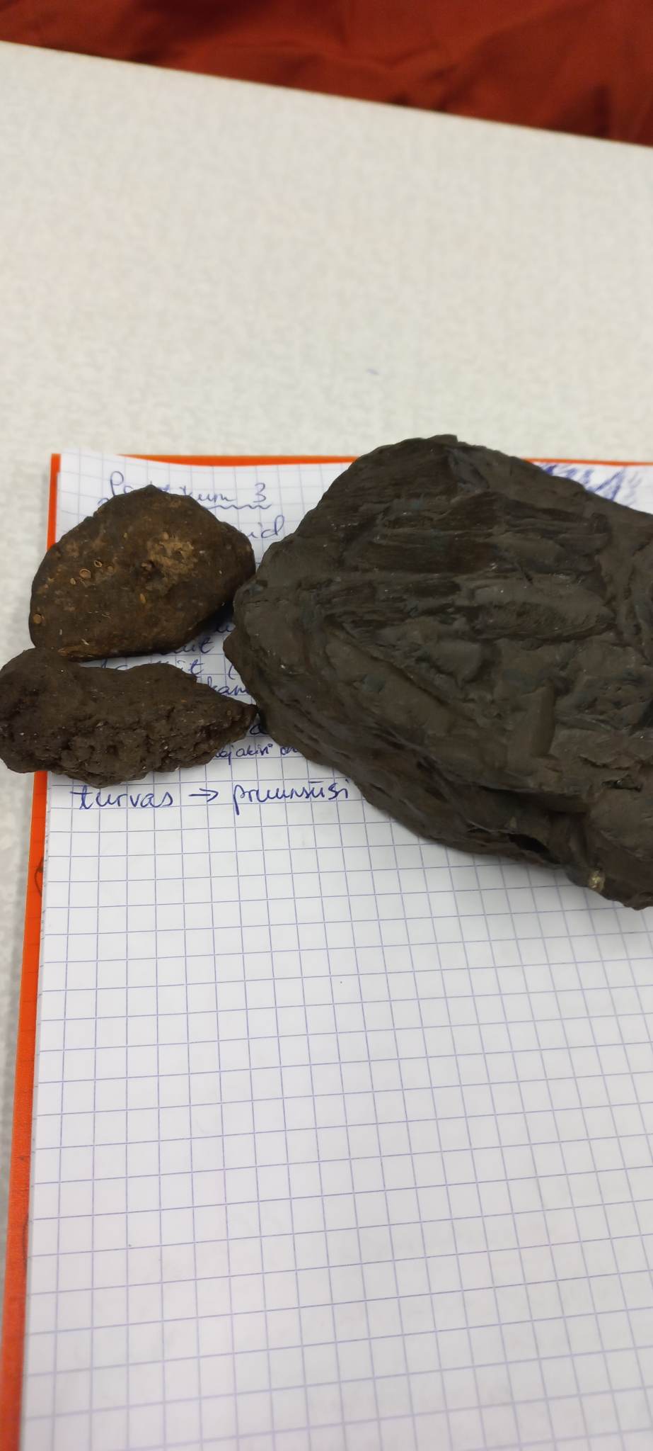 knowt flashcard image