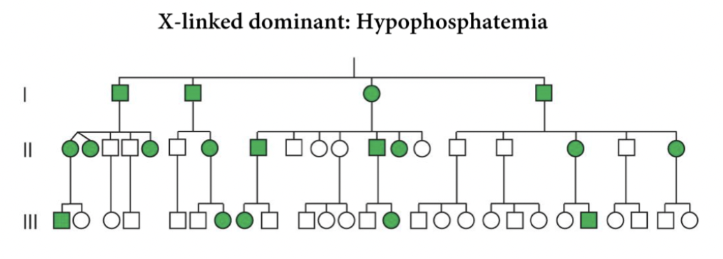 Affected male. Female progeny will have it, not male if it's X-linked