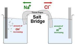 <p>to prevent accumulation of charge in half cell solutions, by enabling free ion flow to balance</p>