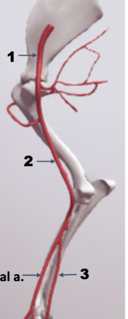 <p>what is 3.&nbsp;</p>