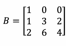 <p>Rank</p>
