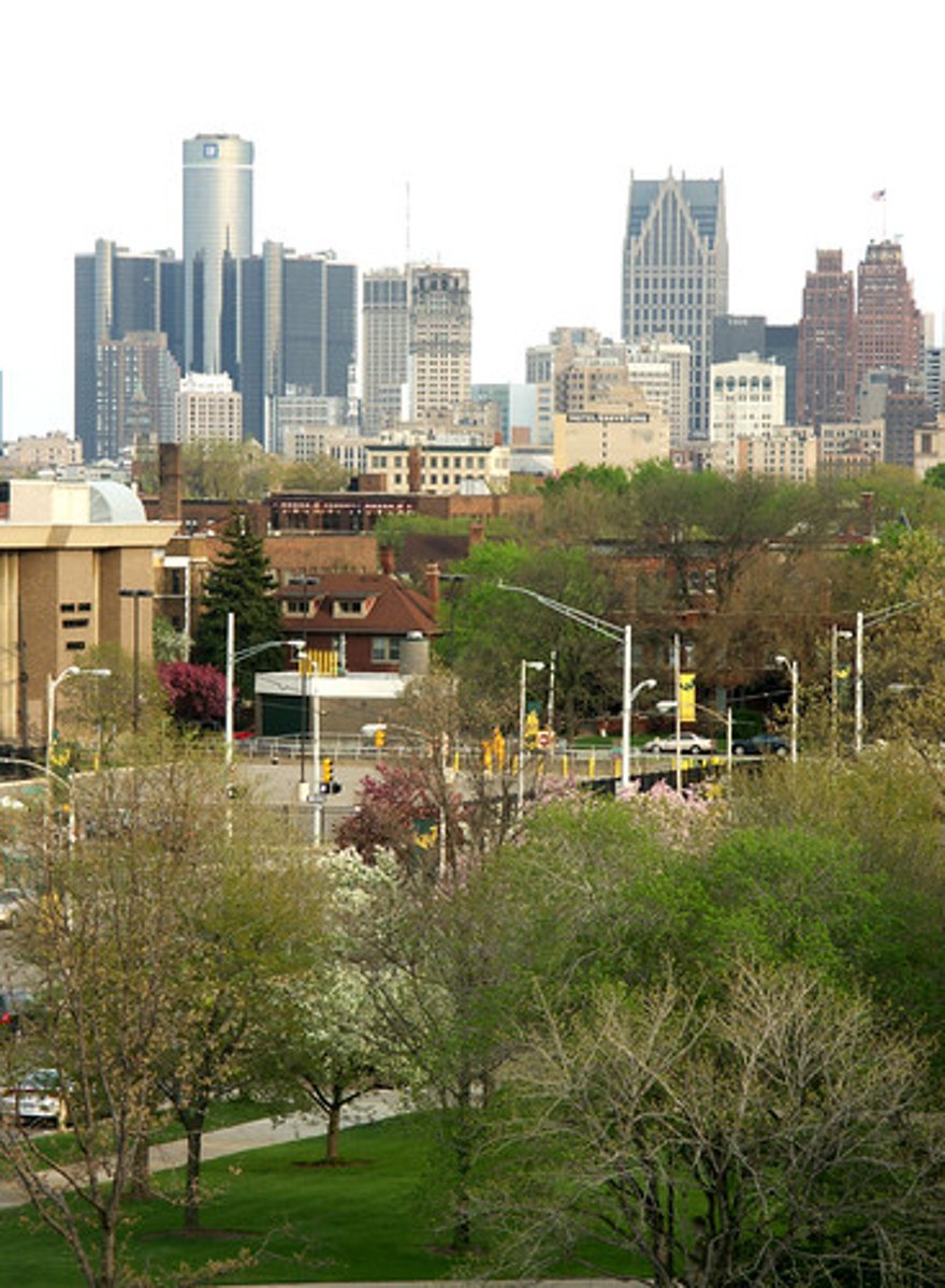 <p>Areas around cities where suburban land uses are restricted.</p>