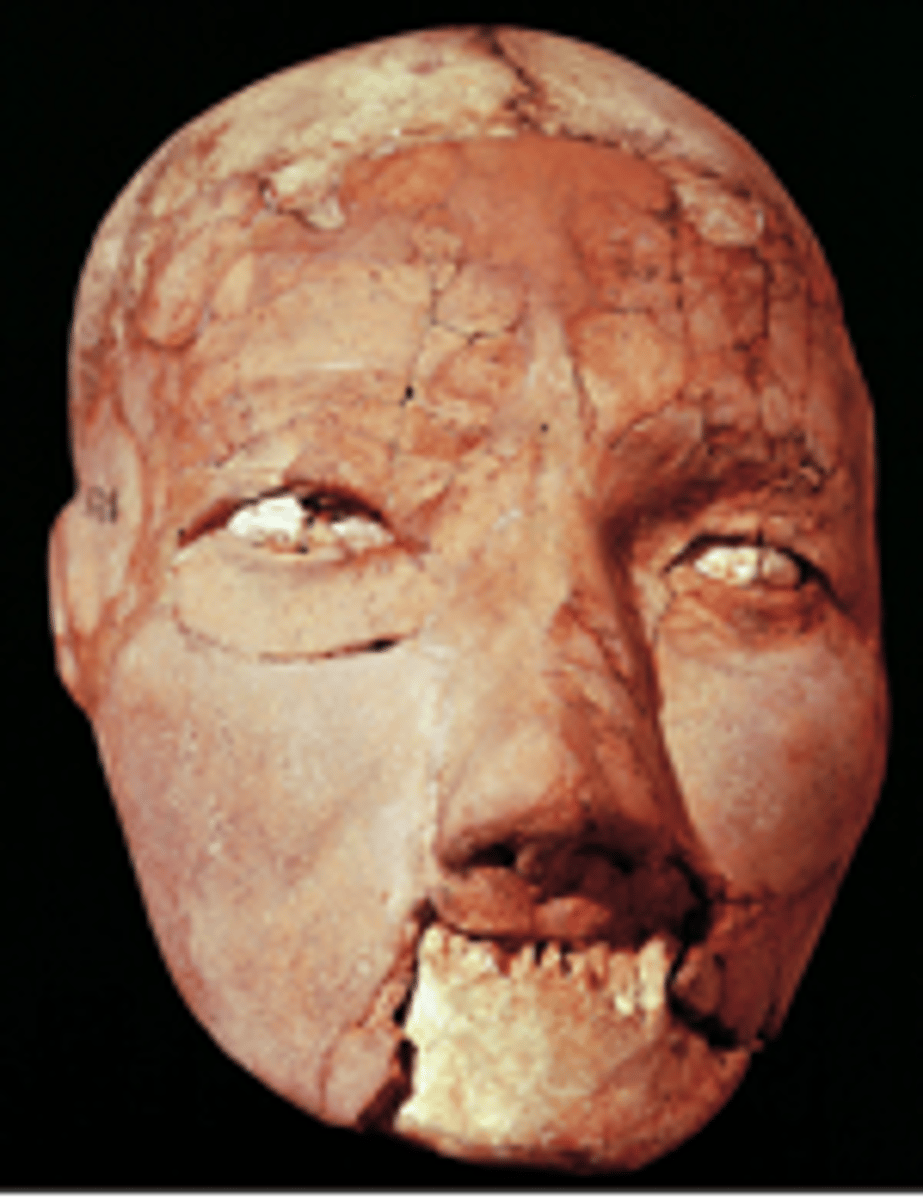 <p>Jericho, Israel, Neolithic, 7200-6700 BC. Filled with plaster with shells for eyes. Kept in yard or home. Potential ancestor worship.</p>