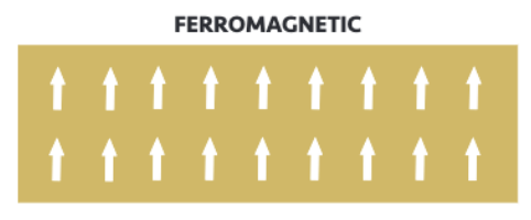 <p> Electron spins are parallel</p>