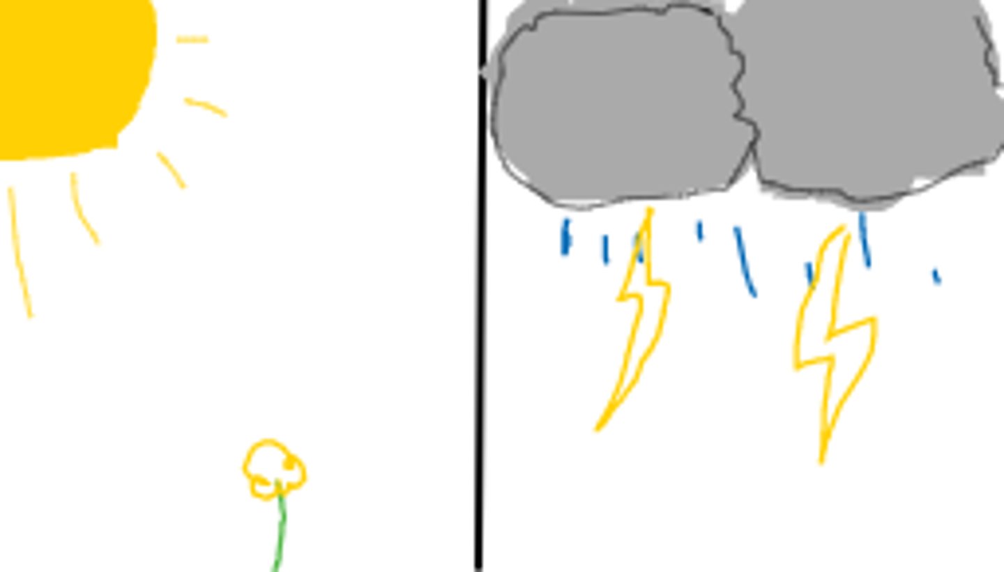 <p>It's nice/bad weather</p>