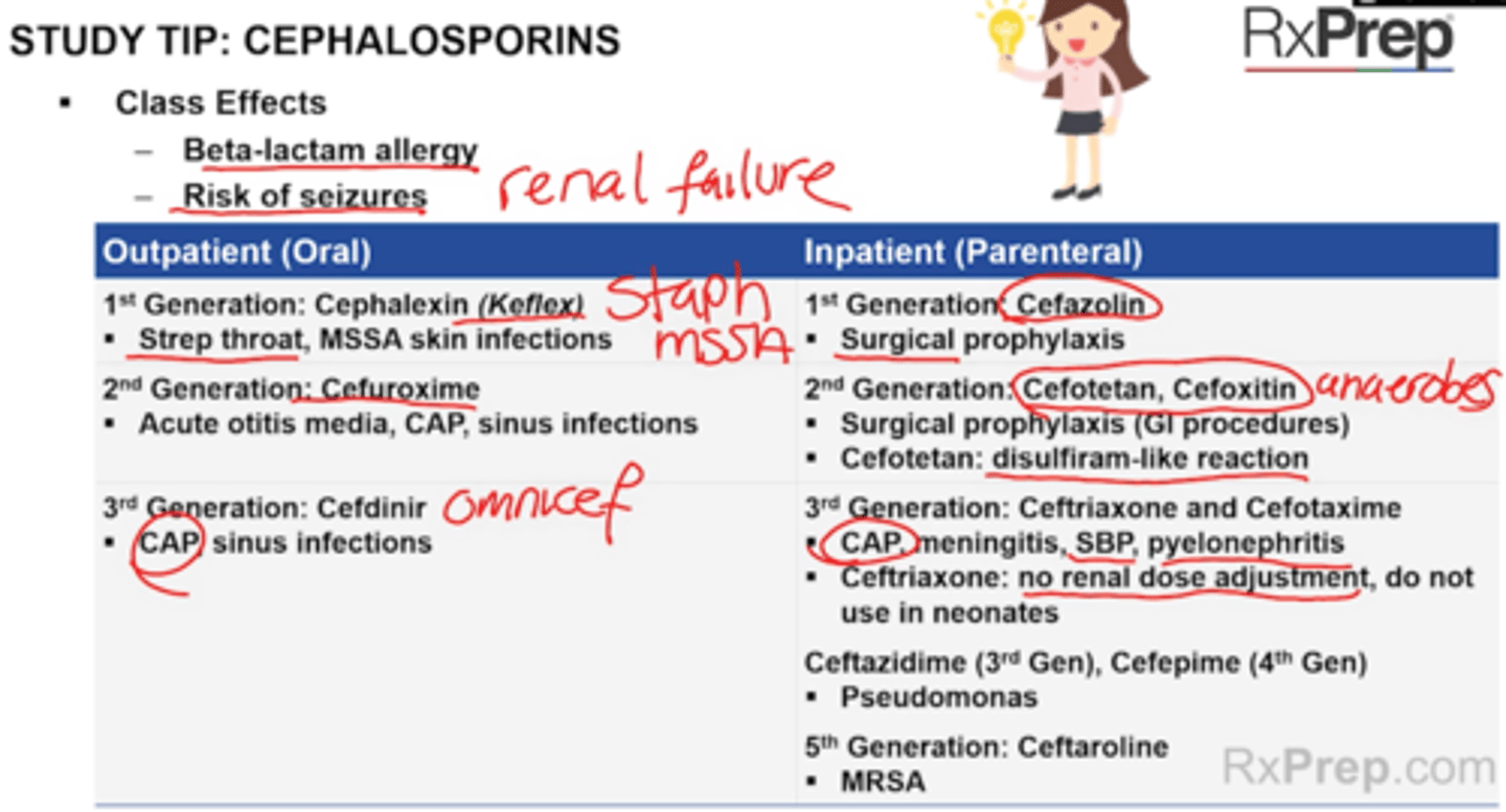 <p>Contraindications</p><p>+ Ceftriaxone: Neonates - cause biliary sludging, kernicterus (brain damage from bilirubin levels); concurrent use w/ Calcium containing IV products in neonates < 28 days old</p><p>Warnings</p><p>+ Cross sensitivity (10%) with PCN allergy - do not use in patients who have type 1 PCN allergy (agnioedema, anaphylaxis)</p><p>+ Cefotetan (Cefotan) contains a side chain --> increase risk of bleeding and cause disulfiram-like reaction</p><p>SE</p><p>+ Seizures (with accumulation), GI upset, diarrhea, rash (SAME AS PCN)</p><p>Notes</p><p>+ Ceftriaxone - no renal adjustment</p><p>+ Cefixime available as chewable tablet (3rd gen)</p><p>+ Ceftazidime/avibactam: covers some carbapenem resistant enterobaceriacae (CRE)</p><p>DDI</p><p>+ Cefpodoxime, Cefuroxime + drugs that decrease stomach acids should be separated from short-acting antacids. Avoid H2RAs and PPIs</p><p>Outpatient (PO)</p><p>1. 1st Generation: Cephalexin (Keflex)</p><p>+ Strep throat, MSSA skin infections</p><p>+ Keflex PO 250-500 mg Q6-12H</p><p>2. 2nd Generation, Cefuroxime</p><p>+ Acute otitis media, CAP, sinus infections (if abx indicated)</p><p>3. 3rd generation: Cefdinir</p><p>+ CAP, sinus infections (if abx indicated)</p><p>Inpatient (Parenteral)</p><p>1. 1st Generation: Cefazolin</p><p>+ Surgical prophylaxis</p><p>2. 2nd generation: Cefotetan, Cefoxitin</p><p>+ Surgical prophylaxis (GI procedures - colorectal)</p><p>+ Anaerobic coverage - b.fragilis</p><p>+ Cefototetan: disulfiram like reaction with alcohol = bleeding</p><p>3. 3rd Generation: Ceftriaxone and Cefotaxime</p><p>+ CAP, meningitis, SBP, pyelonephritis</p><p>+ Ceftriaxone: No renal adjustment, do not use in neonates 0-28 days old (biliary sludge)</p><p>4. Ceftazidime (3rd generation), Cefepime (4th Gen)</p><p>+ Pseudomonas</p><p>5. 5th Generation: Ceftaroline (Teflaro)</p><p>+ only beta lactam active against MRSA </p><p>6. Ceftolozane/Tazobactam and Ceftazidime/Avibactam (3rd gen)</p><p>+ used for MDR Gram negative organisms (Including pseudomonas) </p>