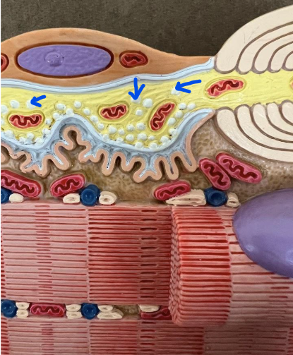 <p>What is this?</p>