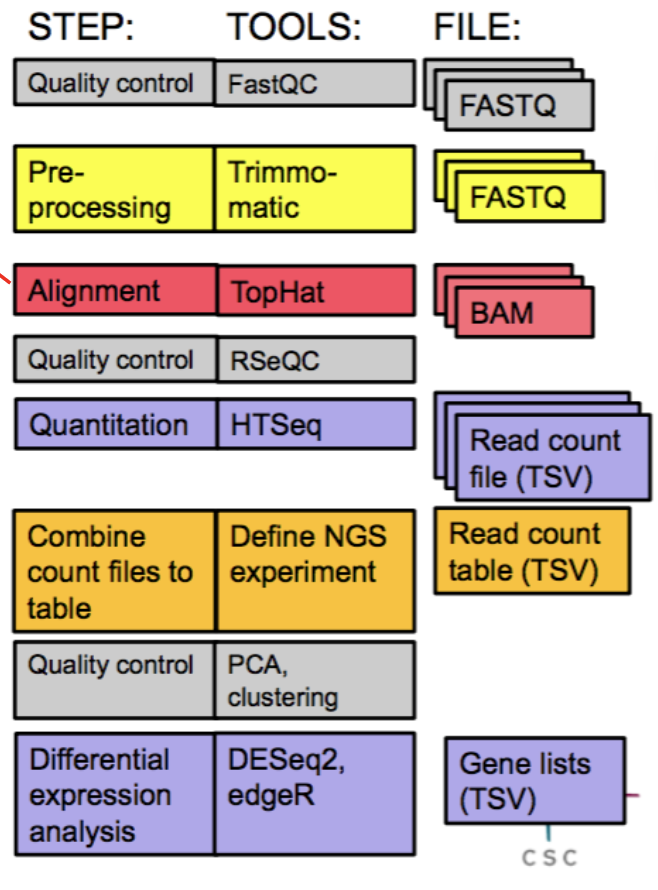 <ul><li><p>Quality control sequence output = FASTQ files.</p></li><li><p>Pre-processing notes: If the reads contain low-quality bases or adapter sequences, you might want to trim or filter them.</p></li><li><p>Alignment notes: map reads to reference genome/transcriptome; output = BAM files.</p></li><li><p>Quantitation notes: abundance quantification; gene, exon, or transcript levels.</p></li></ul><p></p>