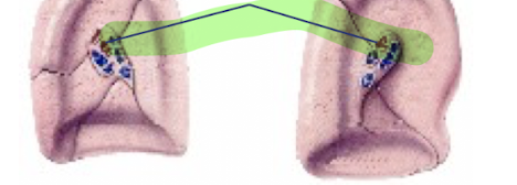 <p>What is this structure?</p>