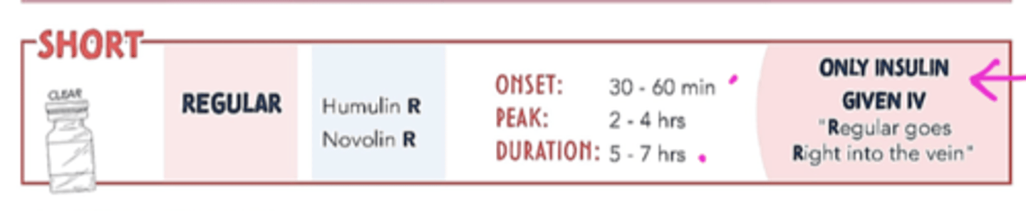<p><strong>regular insulin</strong></p>