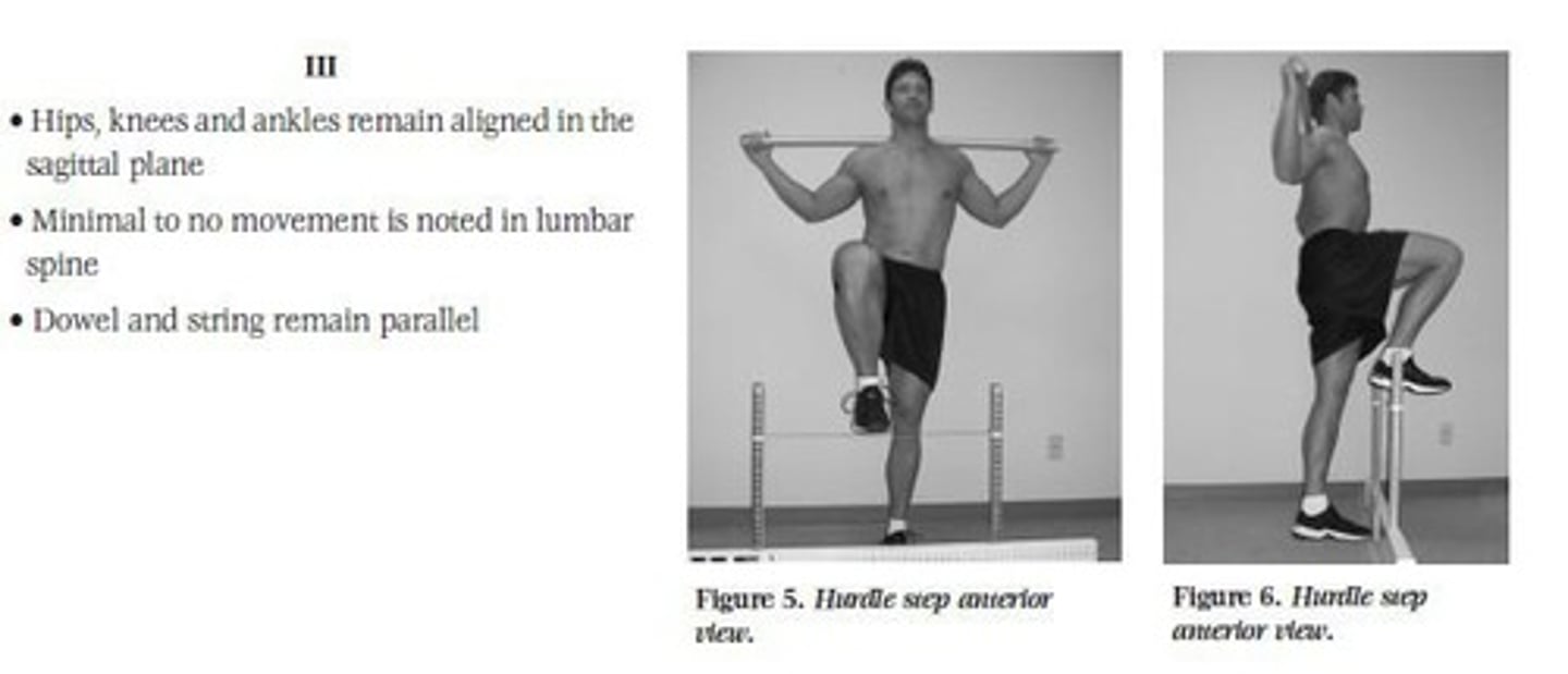 <p>Proper stride mechanics and coordination between hips and upper body.</p>