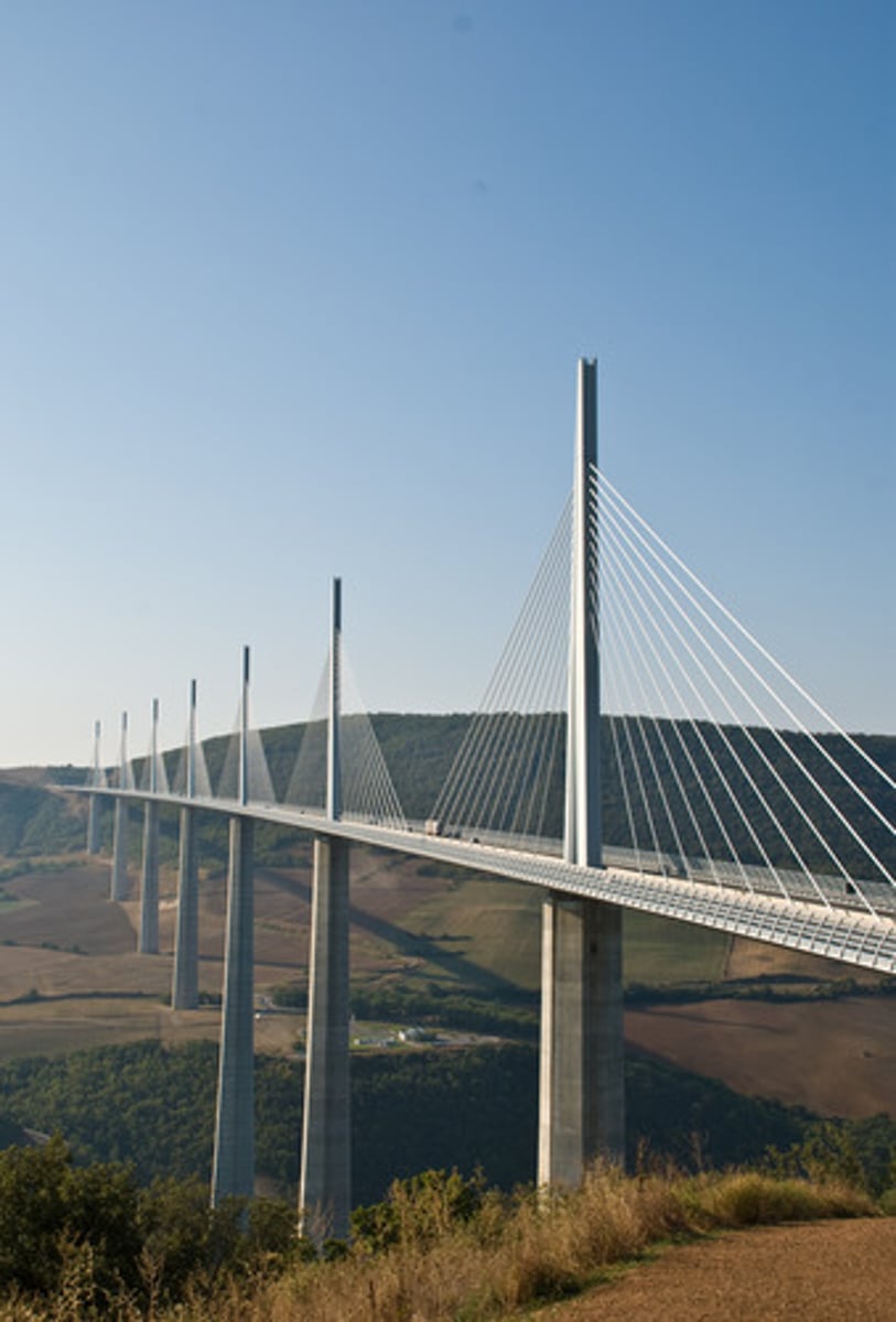 <p>A cable-stayed bridge that spans the valley of the River Tarn.</p>