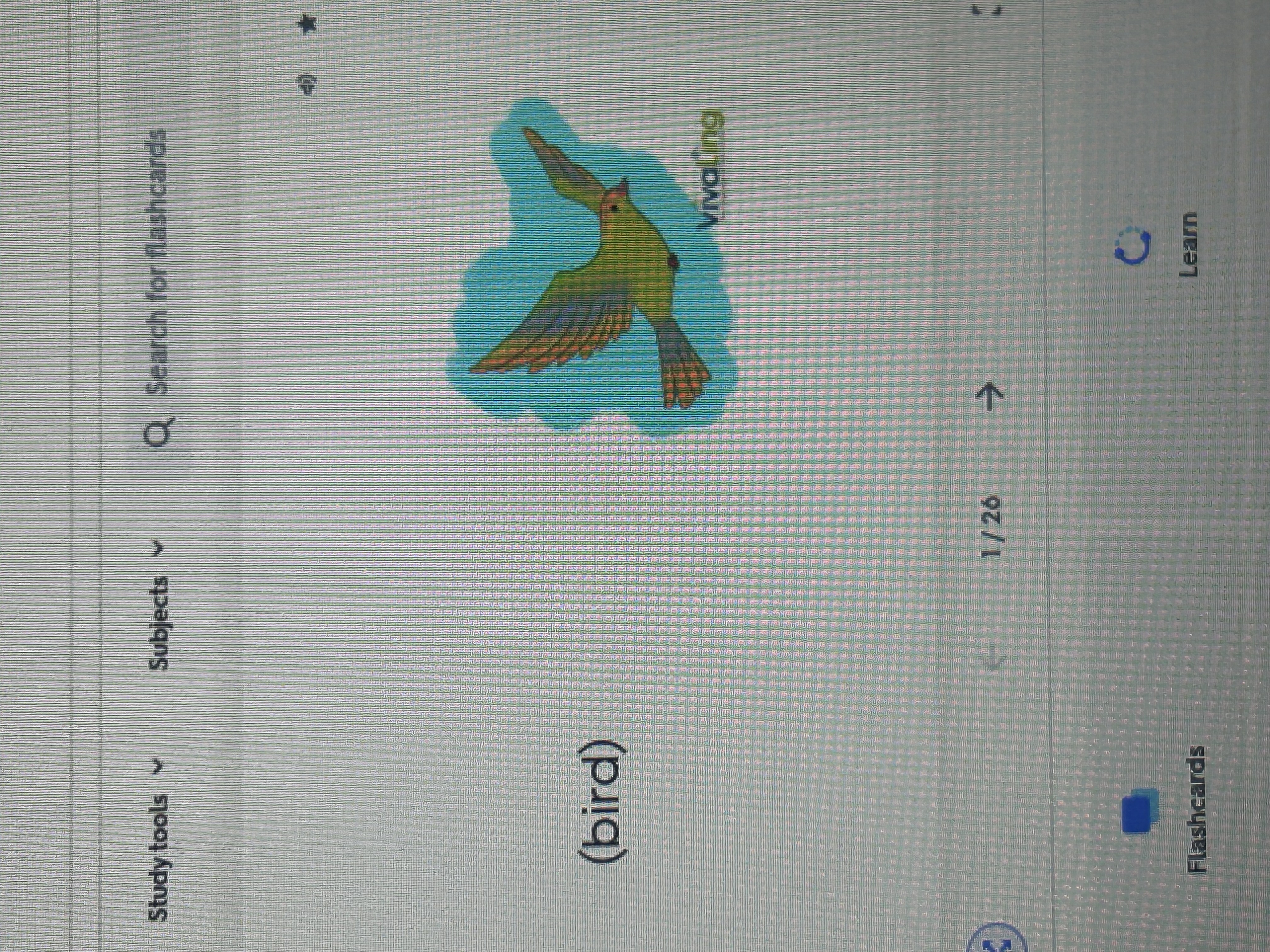 knowt flashcard image